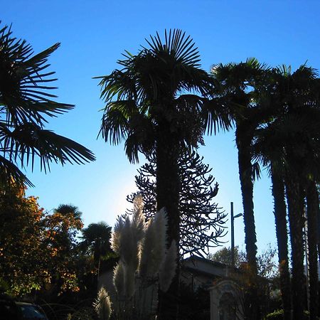 Villa Garni Gardenia Caslano Exterior foto